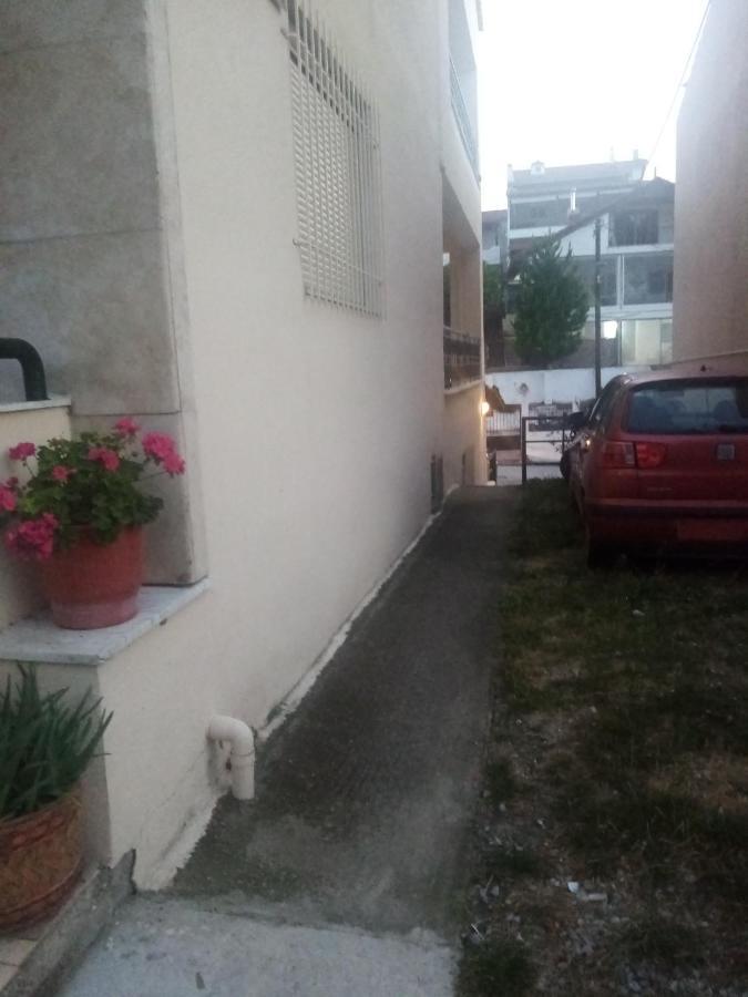 Haras'House Apartment Asvestochori ภายนอก รูปภาพ